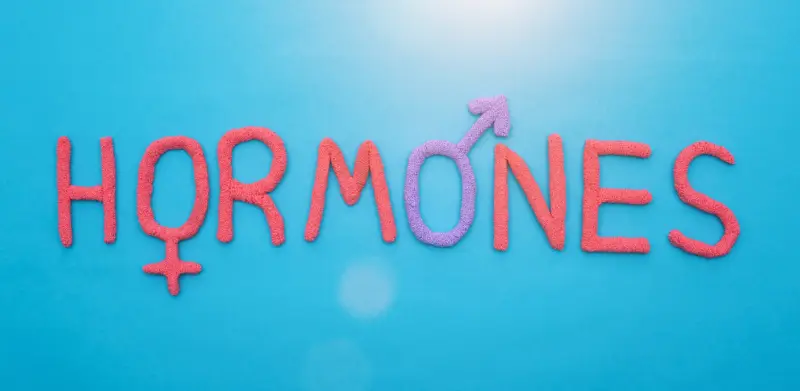 hormones